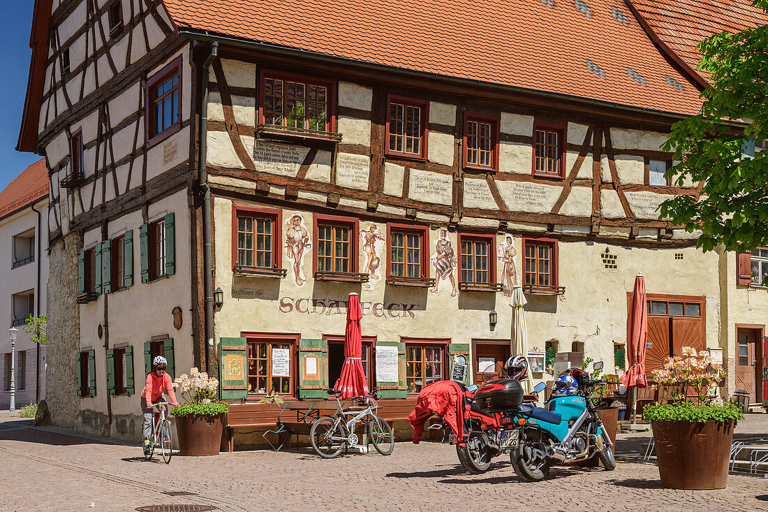 Woman rides past half-timbered house, Friedingen an der Donau, Danube Valley, Danube Cycle Path, Baden-Württemberg, Germany