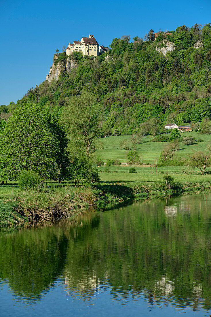 Donau mit Schloss Werenwag im Hintergrund, Oberes Donautal, Donau-Radweg, Baden-Württemberg, Deutschland