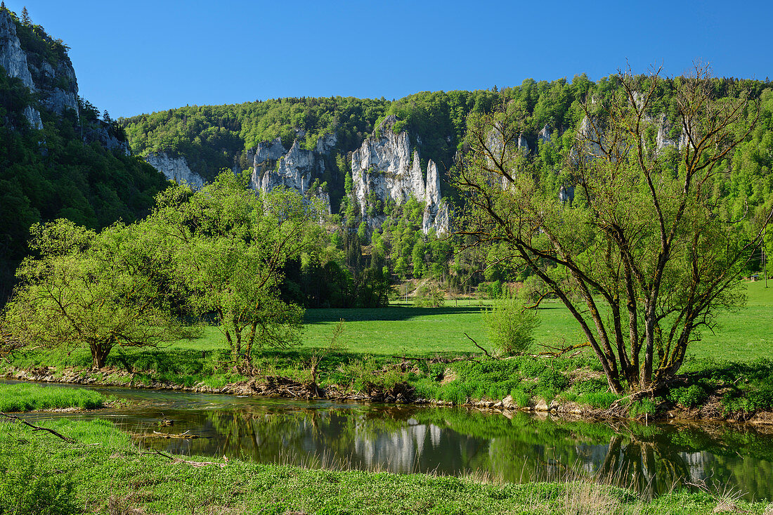 Danube with rock towers in the background, Upper Danube Valley, Danube Cycle Path, Baden-Württemberg, Germany