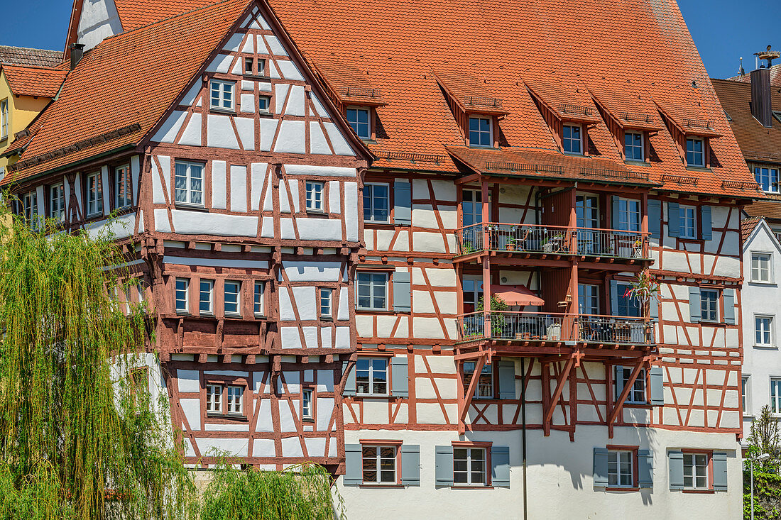 Half-timbered house, Riedlingen, Danube Cycle Path, Baden-Württemberg, Germany