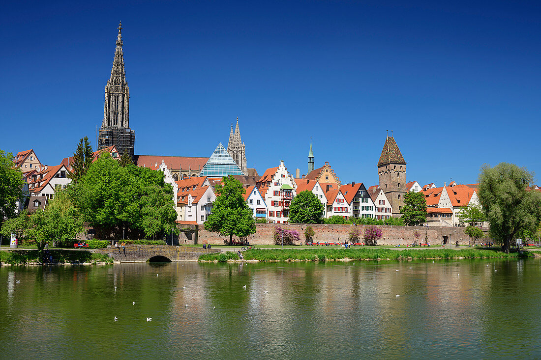 Blick über die Donau hinweg auf Ulm mit Ulmer Münster, Neu-Ulm, Donau-Radweg, Schwaben, Bayern, Deutschland