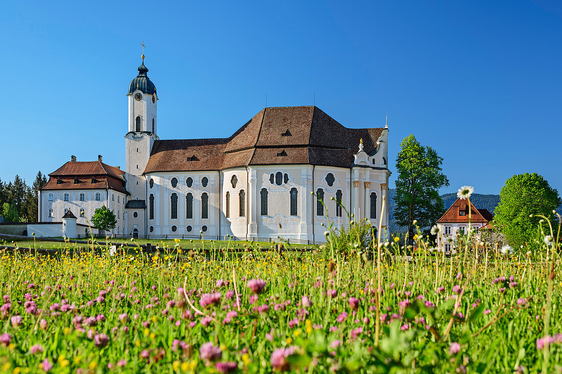 Wieskirche, Pfaffenwinkel, UNESCO Welterbe, Oberbayern, Bayern, Deutschland