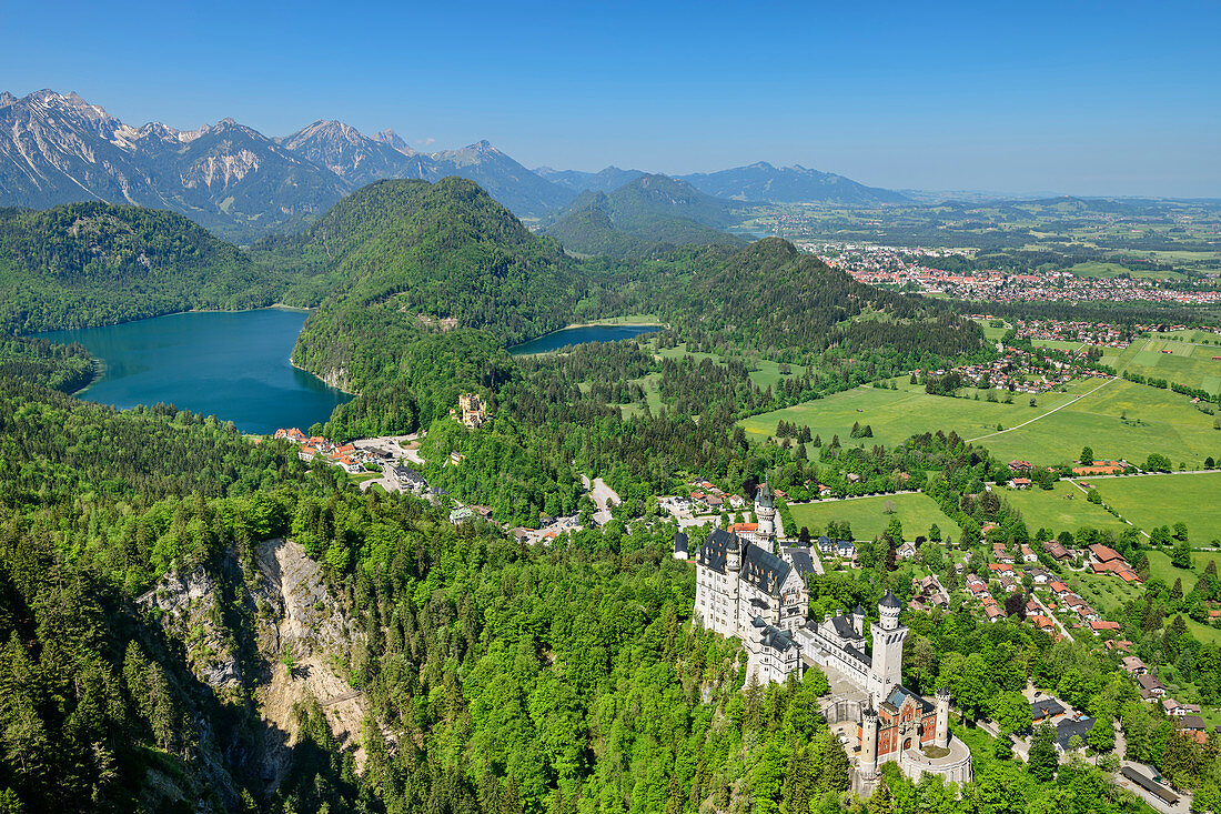Deep view of Neuschwanstein Castle with Alpsee and Schwansee, Tannheim Mountains in the background, from Tegelberg, Ammergau Alps, Swabia, Bavaria, Germany