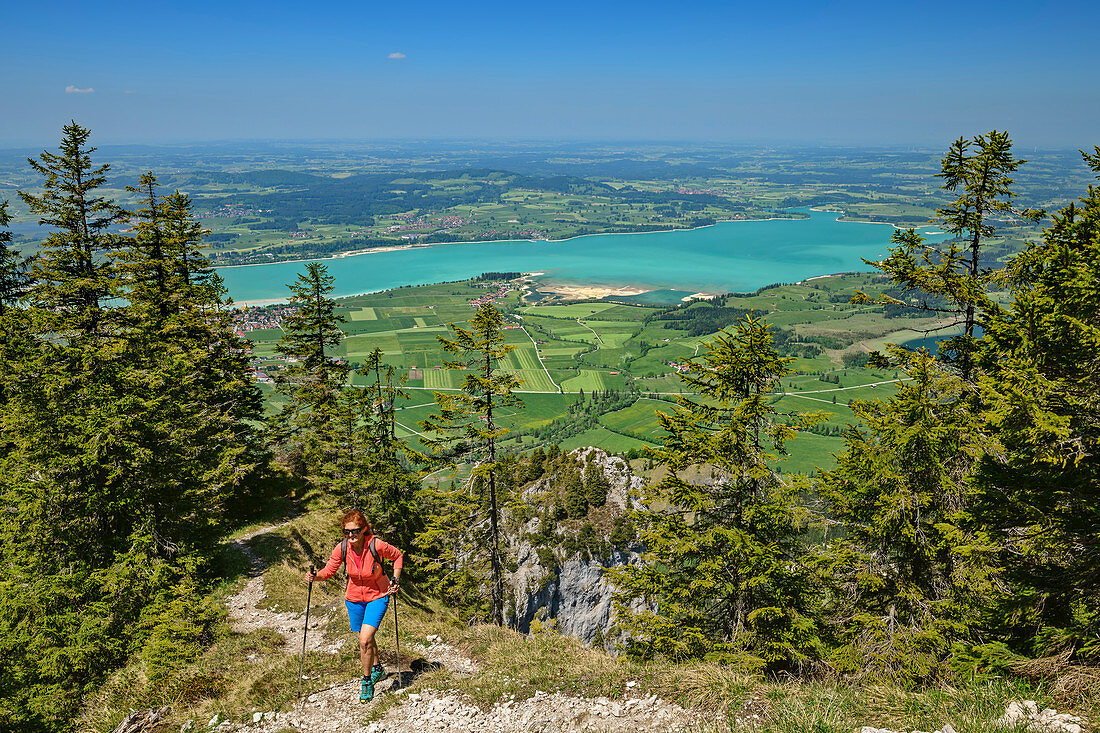 Woman hiking hikes to Tegelberg, Forggensee in the background, Tegelberg, Ammergau Alps, Swabia, Bavaria, Germany