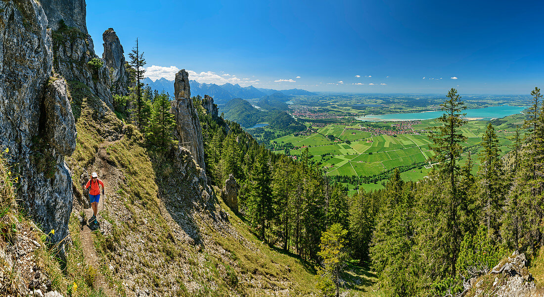 Panorama with woman hiking up to Tegelberg, Tannheimer Berge and Forggensee in the background, Tegelberg, Ammergau Alps, Swabia, Bavaria, Germany