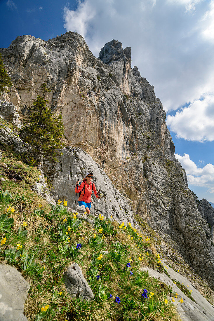 Woman hiking hikes to Geiselsteinjoch, Geiselstein in the background, Ammergau Alps, Swabia, Bavaria, Germany