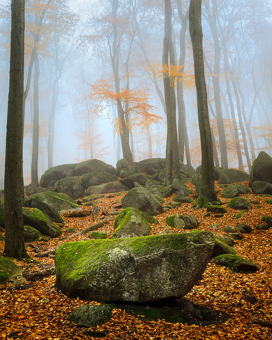 Morgennebel im Felsenmeer im Herbst, Lautertal, Odenwald, Hessen, Deutschland