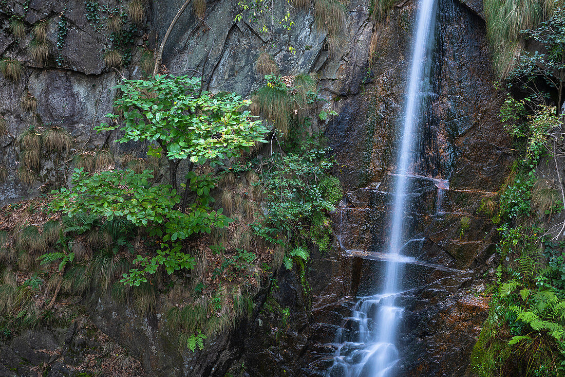 Kleiner Wasserfall bei Trarego, Cannero,  Piemont, Italien