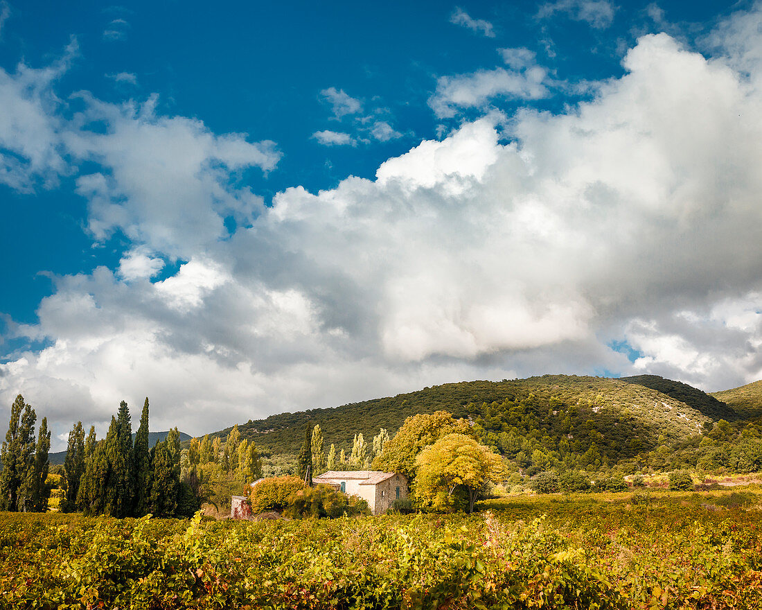 Weingut im Département Drôme, Frankreich