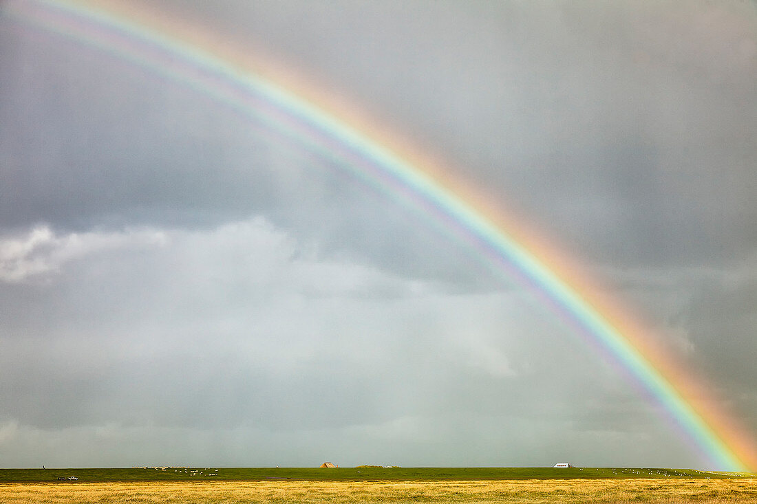 Regenbogen mit Gewitterstimmung, Halbinsel Eiderstedt, Nordfriesland, Schleswig-Holstein, Deutschland