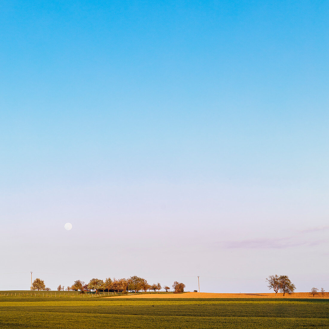 Rising moon over meadows and fields, Niefern, Grand Est, Alsace, France