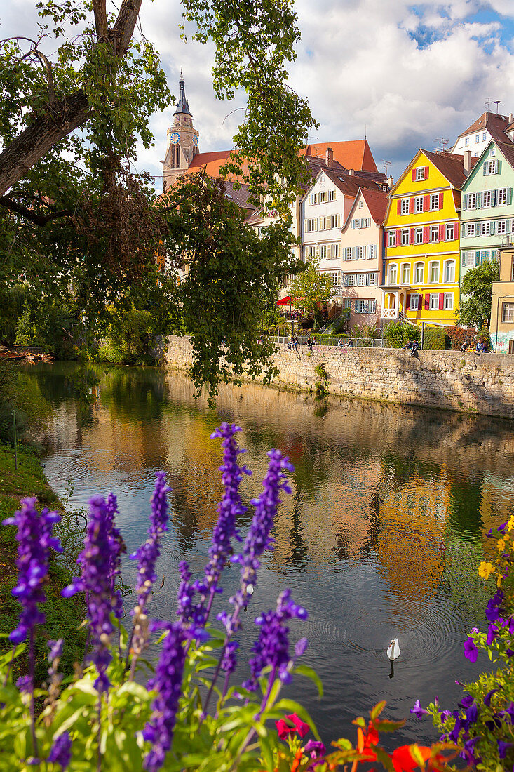 Tübingen, view of row of colored houses on the Neckar and Collegiate Church, Baden Württemberg, Germany