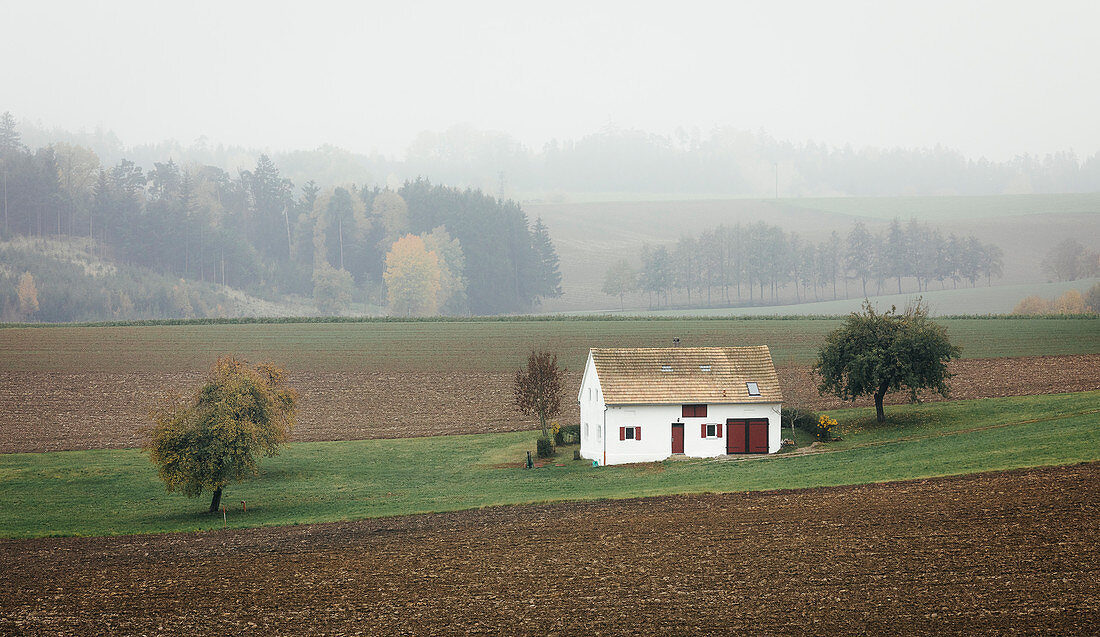 Herbstlicher Nebel auf dem Land, Bayern, Deutschland