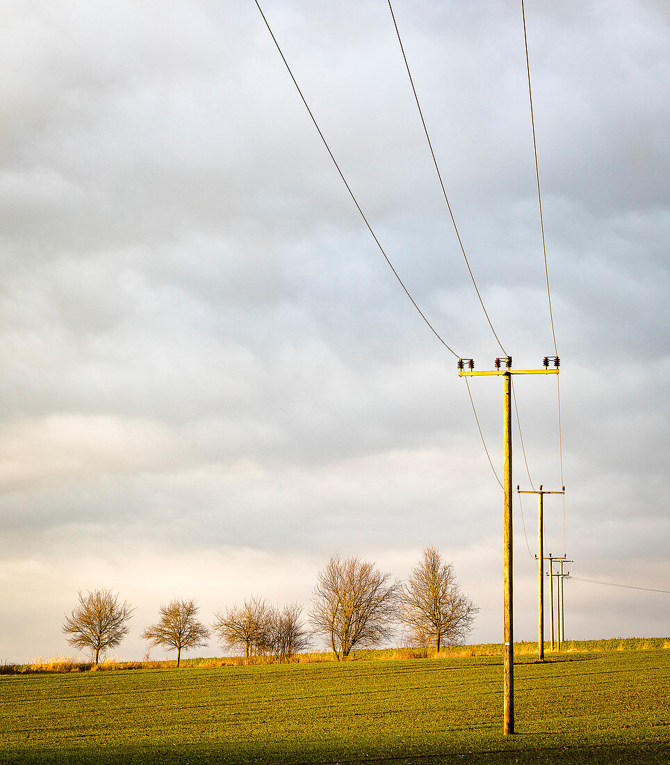 Electricity pylons on field in evening light, Bavaria, Germany