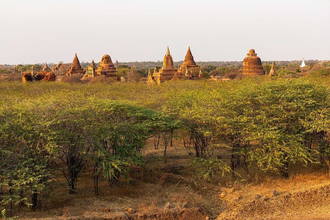 Pagodas in the evening light, Sunset Point in Minnanthu locality, Bagan, Myanmar