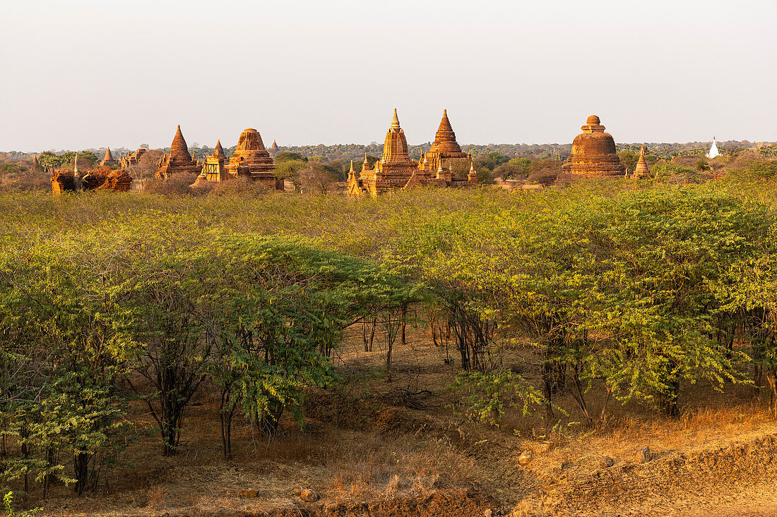 Pagoden im Abendlicht, Sunset Point in Ortschaft Minnanthu, Bagan, Myanmar