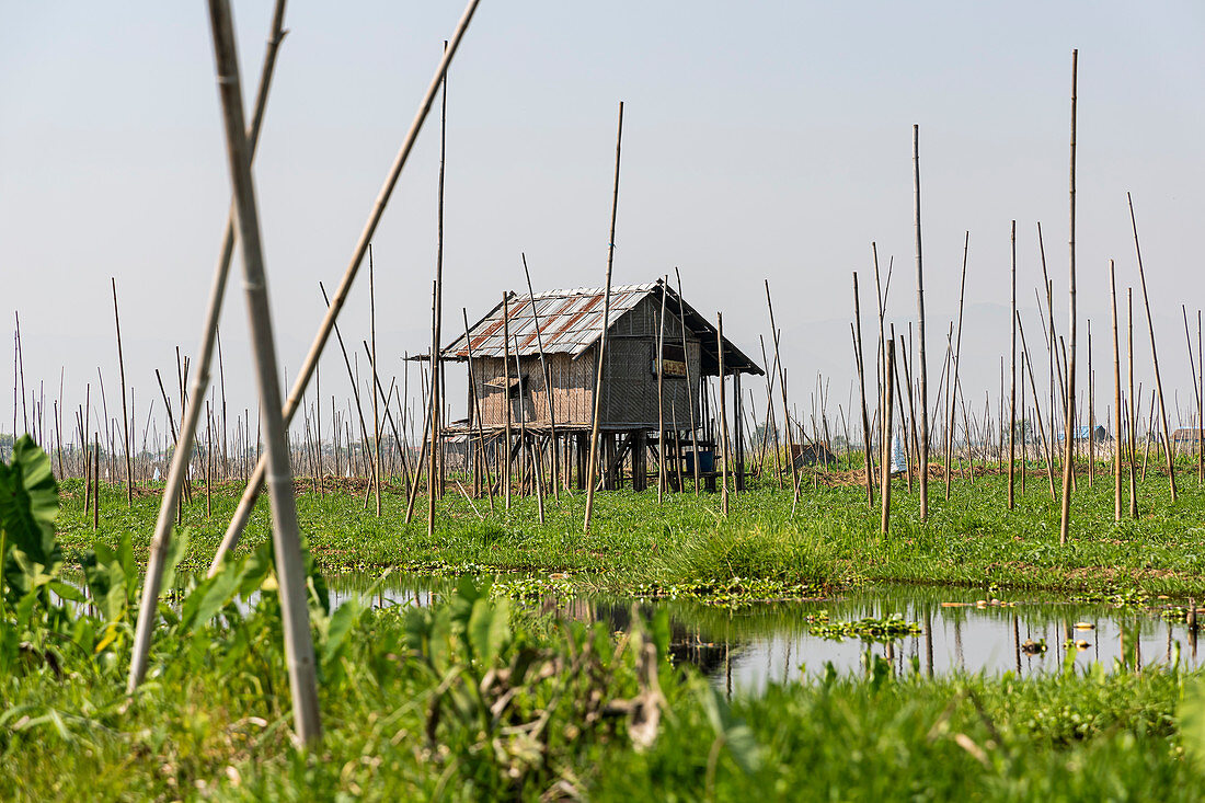 Fahrt durch die Gewässer des Inle See mit Haus auf Stelzen, Heho, Myanmar