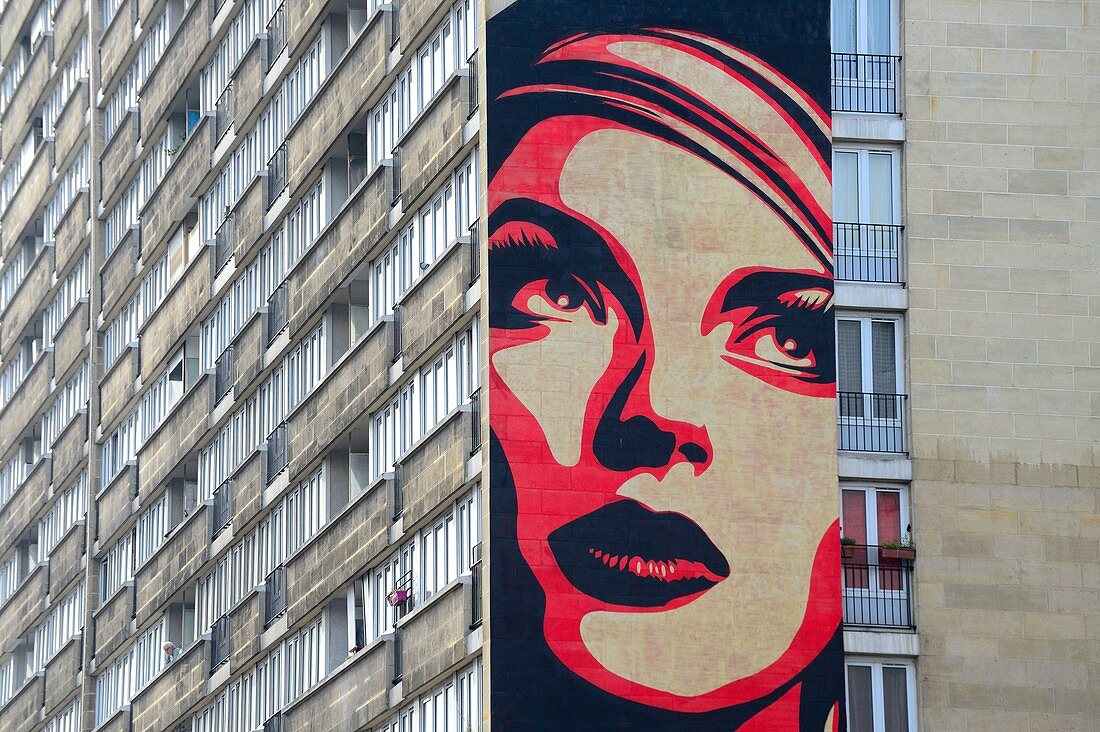 France, Paris, Street Art, OBEY, fesco