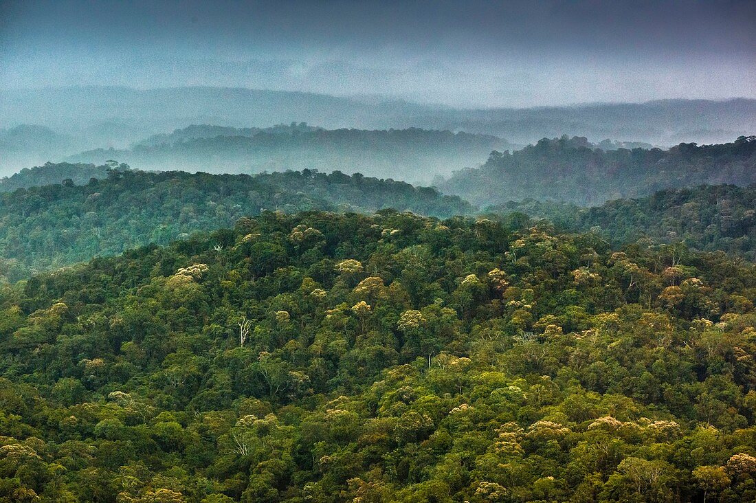 Frankreich, Guayana, Amazonaspark Französisch-Guyana, Kerngebiet, die Regenzeit, die Amazonas-Ebene, ihre Nebel und Stürme, vom Transporthubschrauber der wissenschaftlichen Mission Itoupé aus (Luftaufnahme)