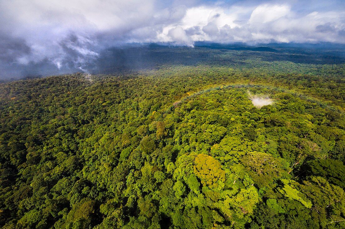 France, Guyana, French Guyana Amazonian Park, heart area, overlooking the Amazon plain since the tabular chain of Mount Itoupe (830 m), rainy season, aerial view from helicopter transport of the scientific team