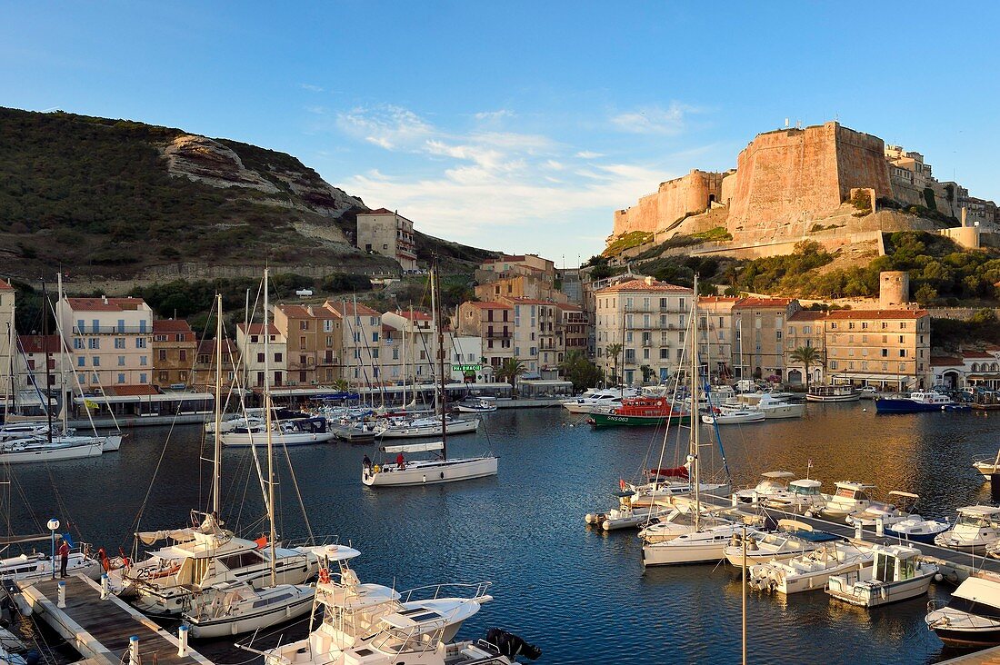 Frankreich, Corse-du-Sud, Bonifacio, der Hafen mit Blick auf die Zitadelle in der Oberstadt