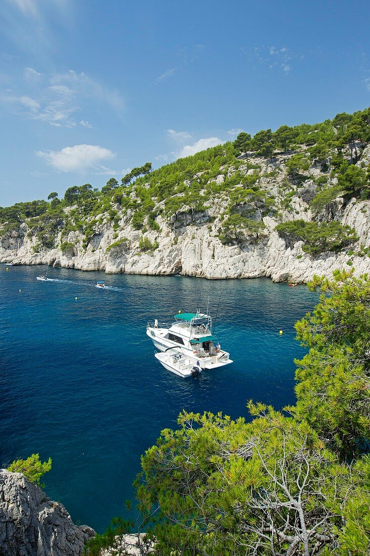 France, Bouches du Rhone, National Park Calanques, Cassis, creek of Port Pin