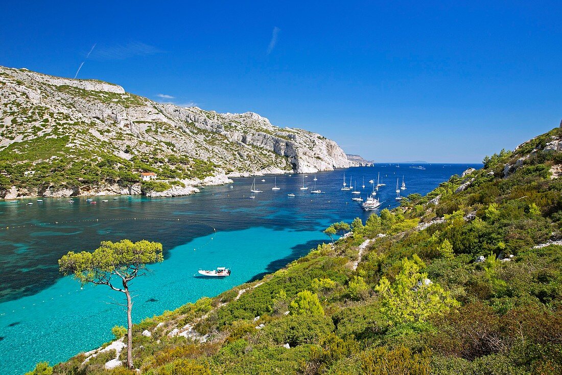 Frankreich, Bouches-du-Rhône, Nationalpark Calanques, Marseille, Bucht Sormiou