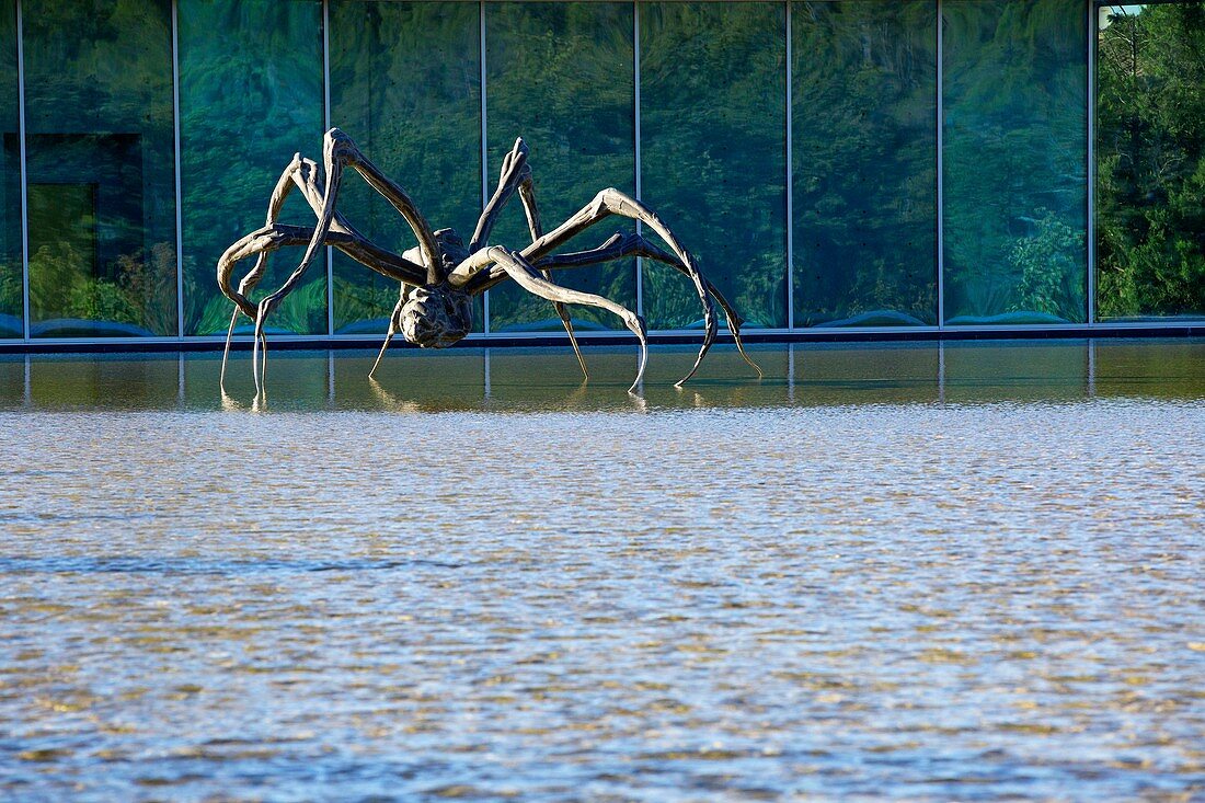 France, Bouches du Rhone, Le Puy Sainte Reparade, Chateau La Coste, Crouching Spider 6695 Louise Bourgeois (Compulsory Mention)