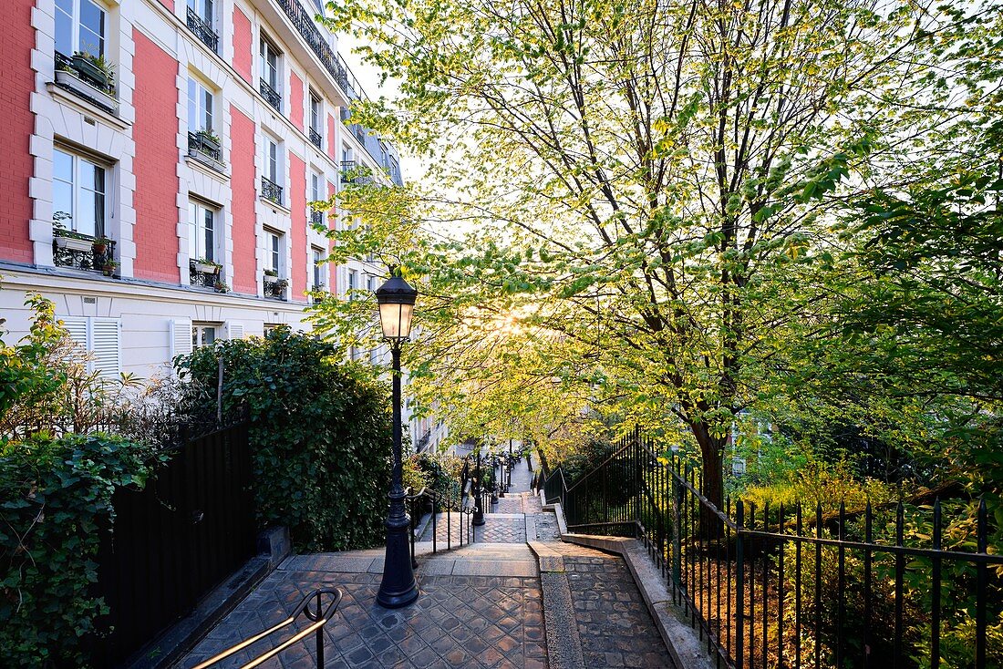 France, Paris, Montmartre district, staircase leading towards the basilica Sacre-Coeur crowning the Montmartre hill