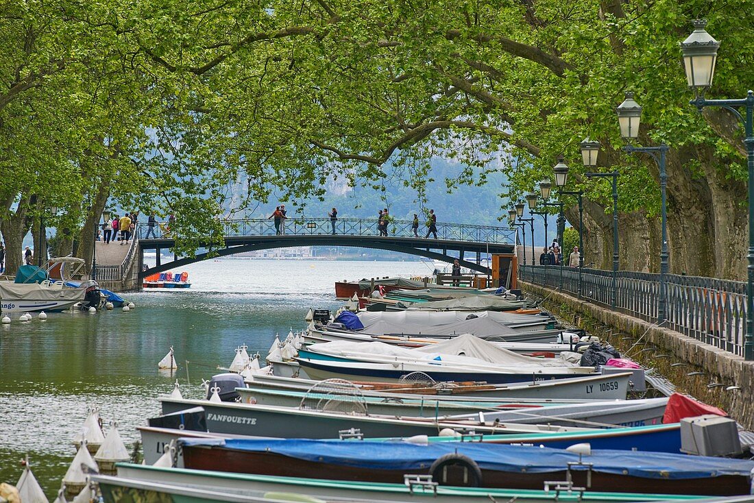 Frankreich, Haute-Savoie, Annecy, Boote am Seeufer