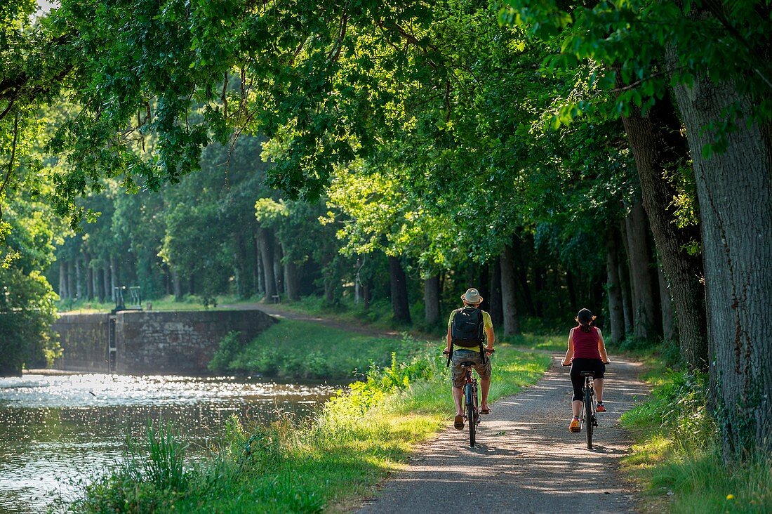 France, Morbihan, Gueltas, cyclist on the towpath along the canal from Nantes to Brest