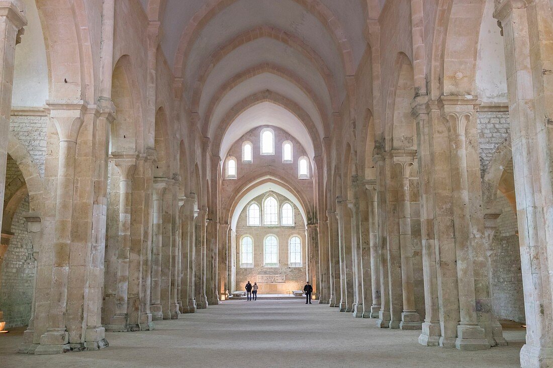 France, Cote d'Or, Marmagne, Fontenay Cistercian Abbey (1118), listed as World Heritage by UNESCO, the church