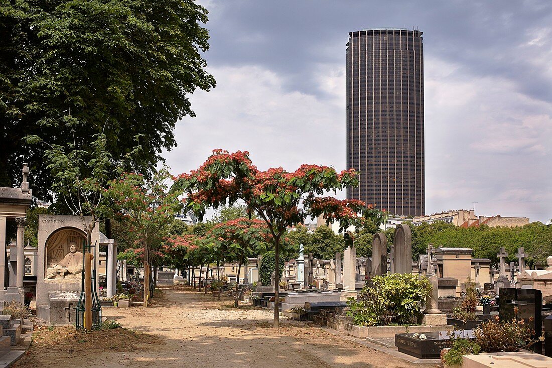 Frankreich, Paris, Montparnasse, Friedhof und Turm