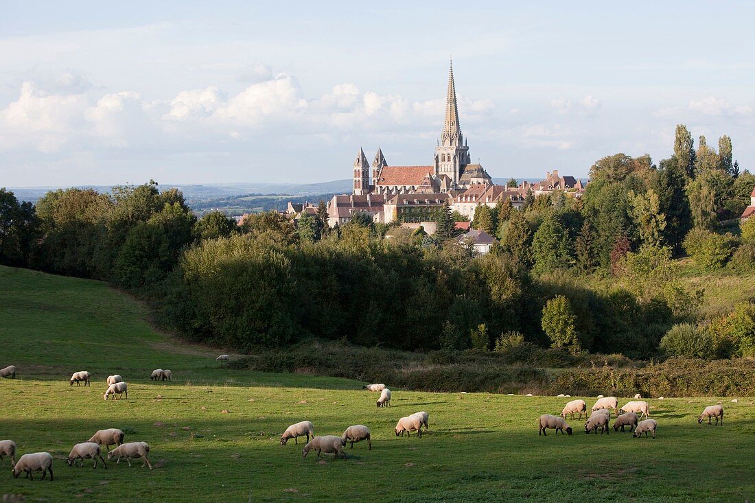 France, Saone et Loire, Saint-Lazare Cathedral, Autun