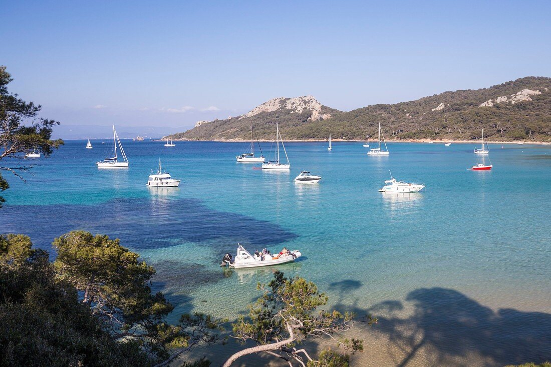 France, Var, Iles d'Hyeres, national park of Port-Cros, Island of Porquerolles, bay of Alycastre view of the Pointe du Pin, beach Notre Dame