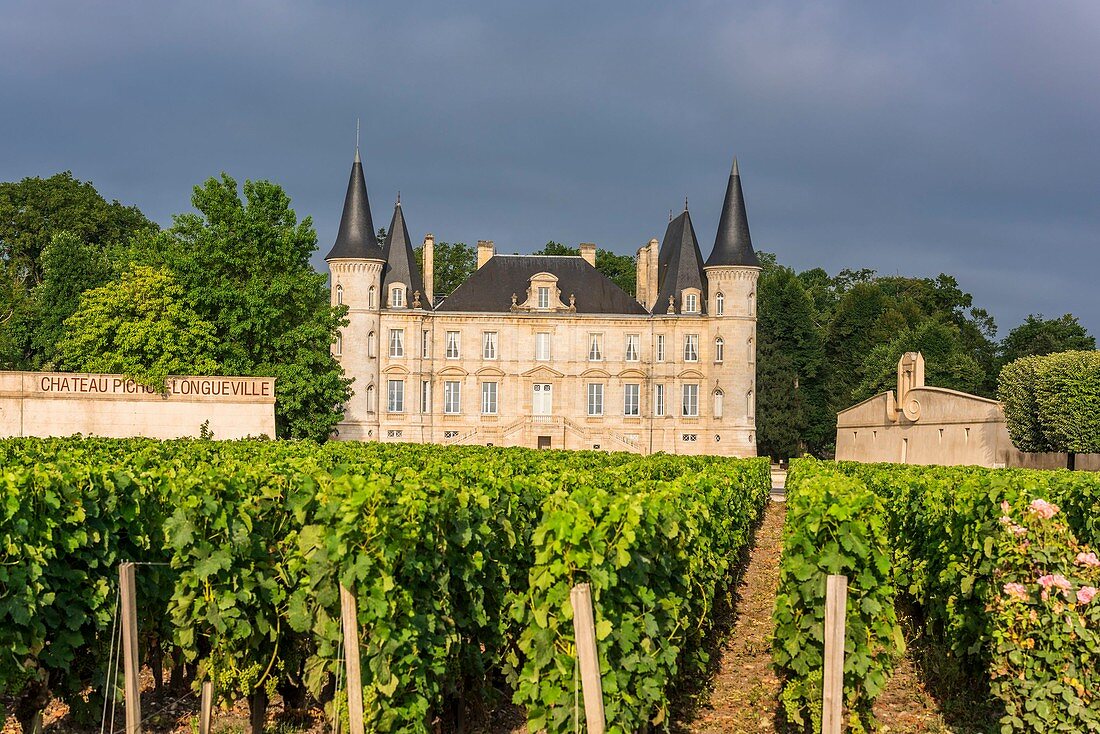 Frankreich, Gironde, Pauillac, Château Pichon-Longueville, 73 ha großes Weingebiet (AOC Pauillac)