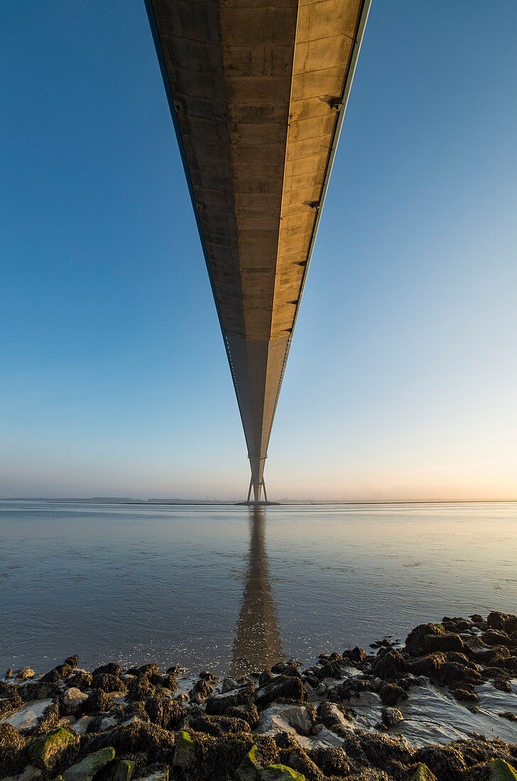 Frankreich, Calvados, Seine-Maritime, die Pont de Normandie überspannt die Seine und verbindet die Städte Honfleur und Le Havre