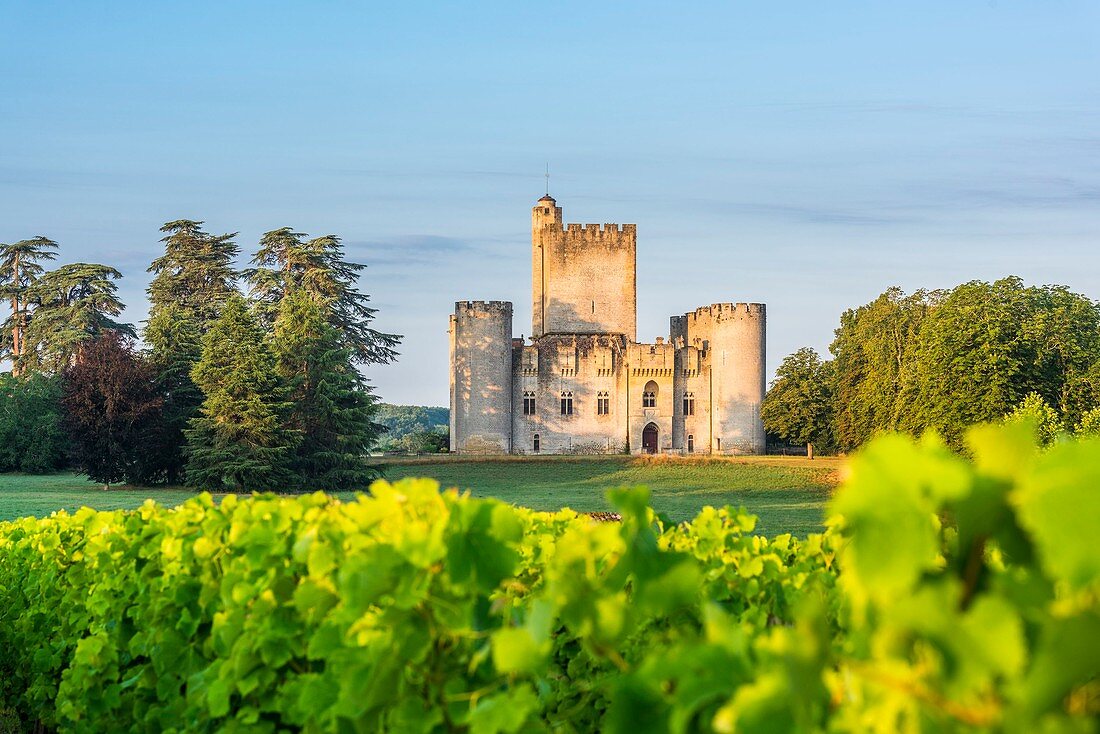 France, Gironde, Mazeres, medieval castle of Roquetaillade