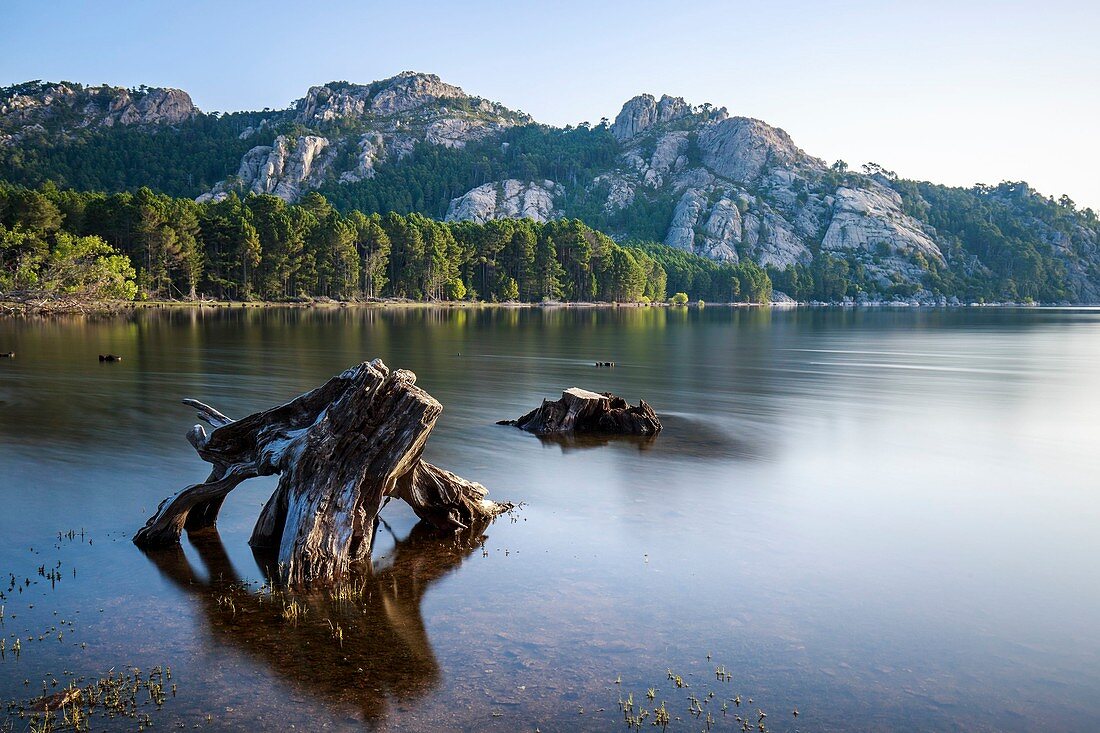 France, Corse du Sud, Alta Rocca, San Gavino di Carbini, Massif of Ospedale, lake of Ospedale