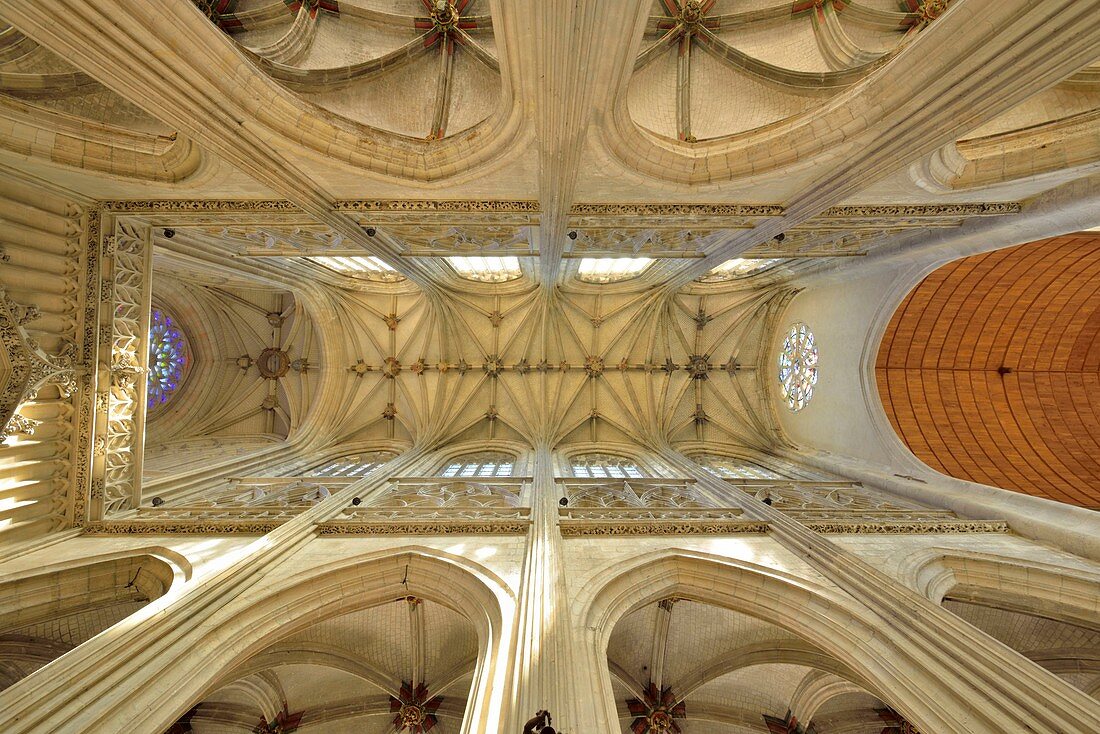 France, Somme, Abbeville, Collegiate Church Saint Vulfran built in 1488, ceiling