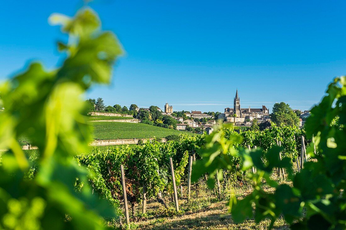 France, Gironde, Saint-Emilion, listed as World Heritage by UNESCO, Bordeaux vineyard, AOC Saint-Emilion, the medieval city and the monolithic church