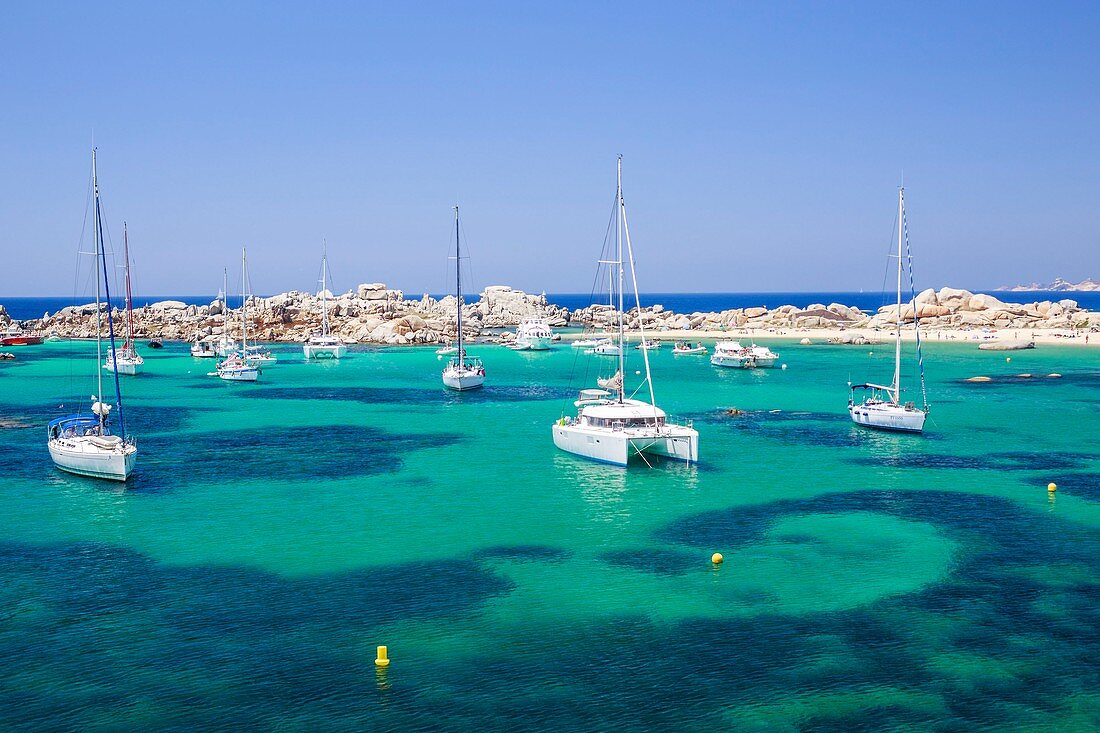 France, Corse du Sud, Bonifacio, Nature reserve of islands Lavezzi, boats at anchor of the beach of Cala di l'Achiarinu