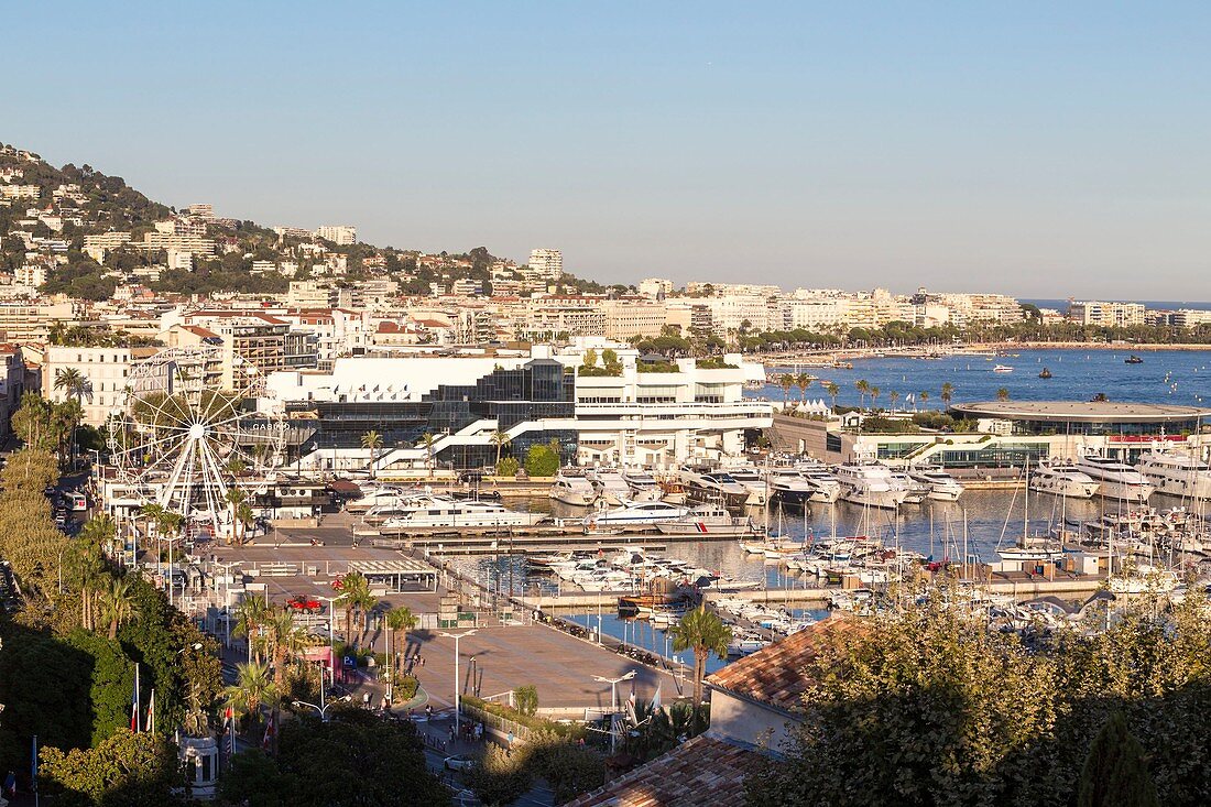 Frankreich, Alpes-Maritimes, Cannes, Blick von Le Suquet auf die Bucht von Cannes und den Palais des Festivals