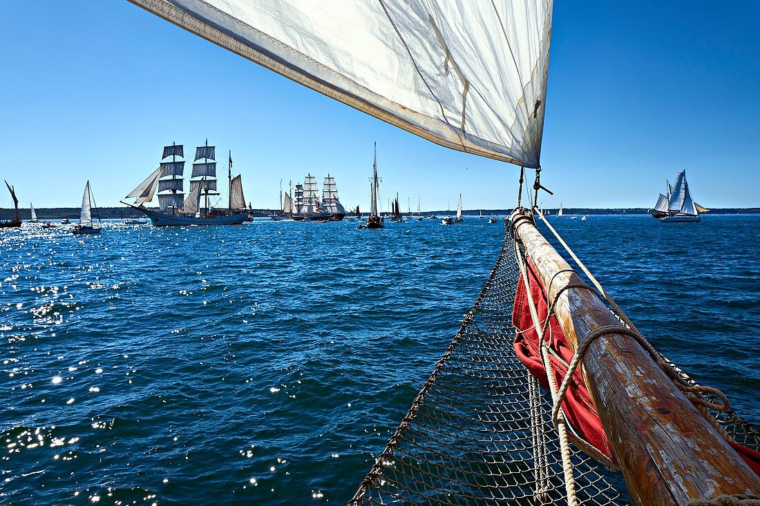 France, Finistere, Brest, Les Fetes Maritimes 2016, sailing