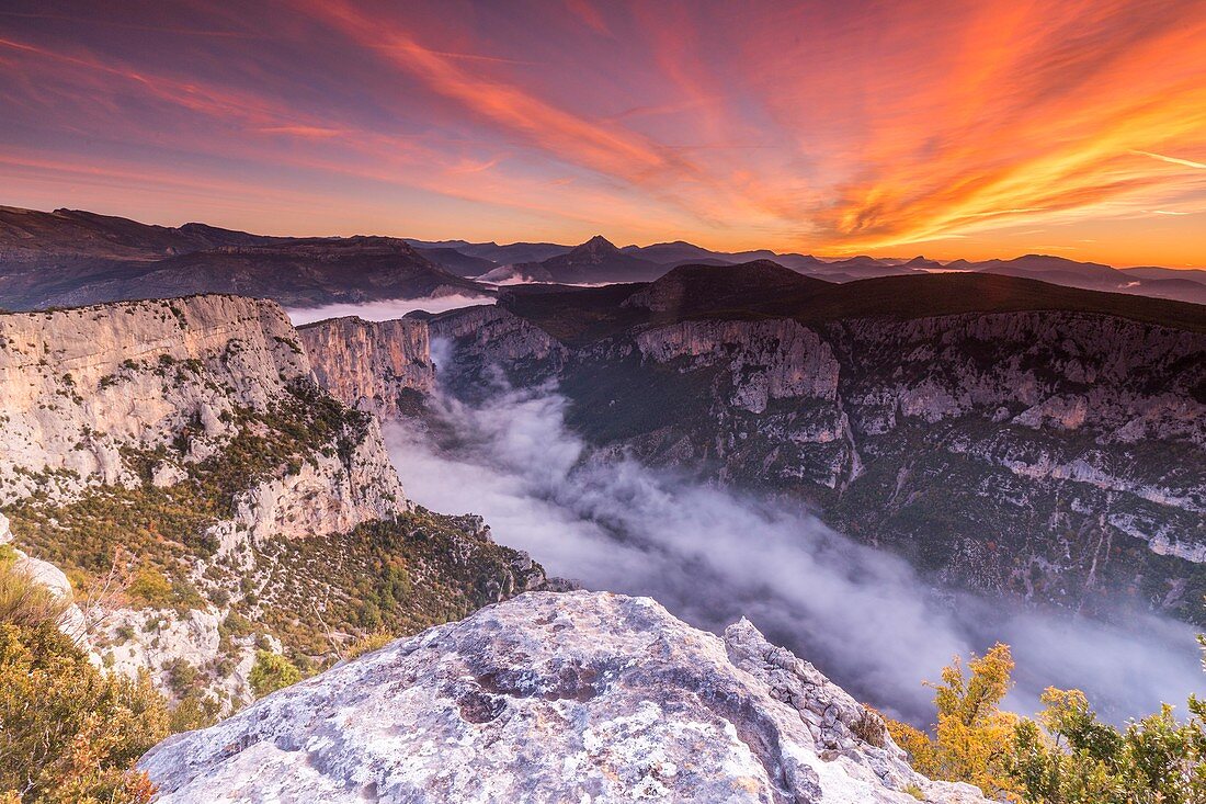 France, Alpes de Haute-Provence, regional natural reserve of Verdon, Grand Canyon of Verdon, cliffs of the Barres of Escalès seen by the belvedere of Pas de la Bau