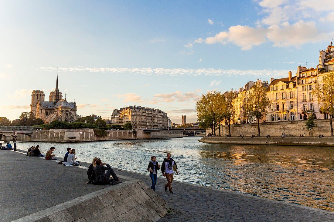 Frankreich, Paris, UNESCO Weltkulturerbegebiet, Quai de la Tournelle mit Kathedrale Notre-Dame de Paris
