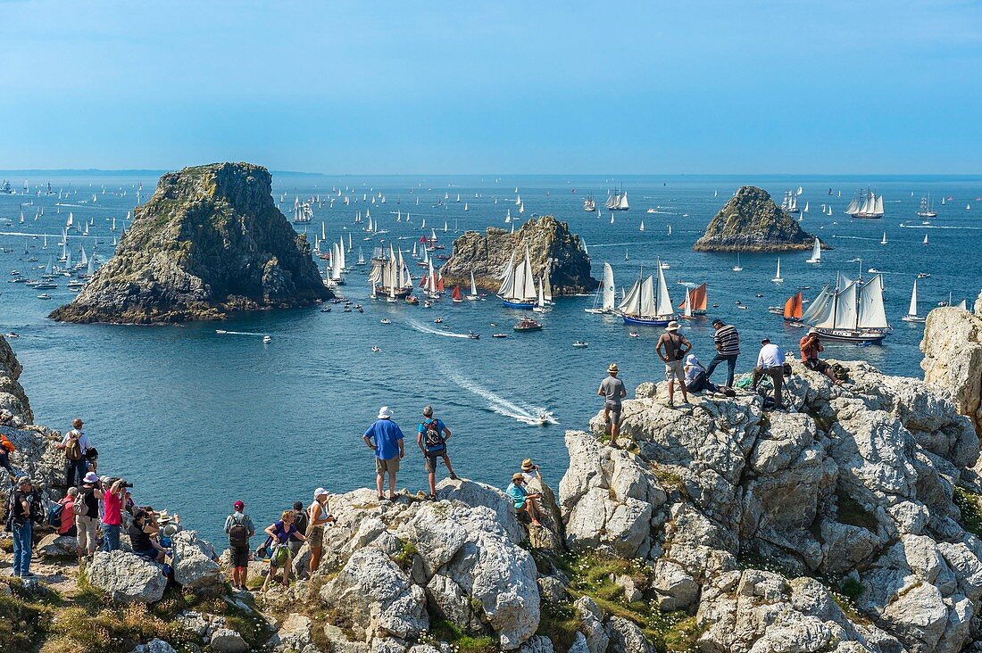 France, Finistere, Brest, Brest 2016 International Maritime Festival, large gathering of traditional boats from around the world, every four years for a week, race between Brest and Douarnenez, view from the Pointe de Pen Hir