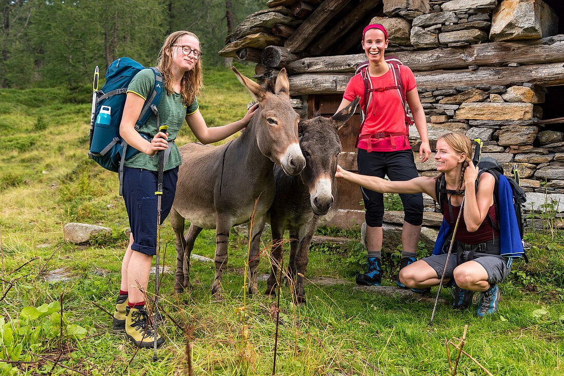 Gruppe von Wanderinnen trifft Esel unterhalb Rifugio Poncione di Braga, Trekking del Laghetti Alpini, Tessin, Schweiz