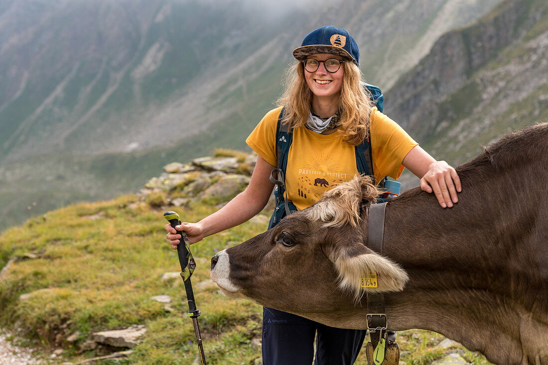 Hiker meets cow, Trekking del Laghetti Alpini, Ticino, Switzerland