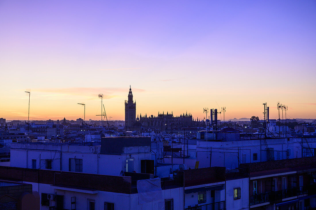 Cityscape with Giralda bell tower at sunset in Seville, Spain